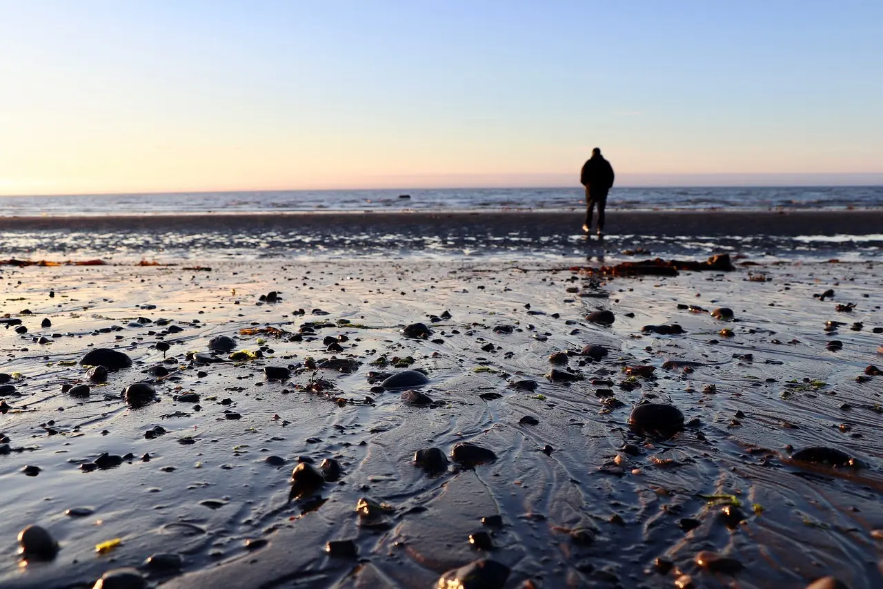 8 mindfulness-teknikker til din aftentur