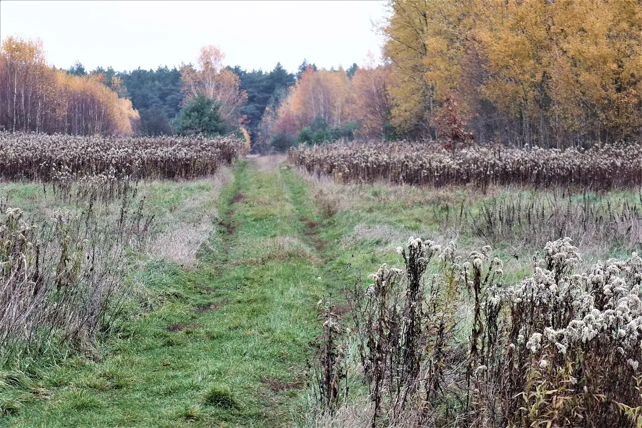 11 ting, der gør dit køle-/fryseskab dyrt i drift